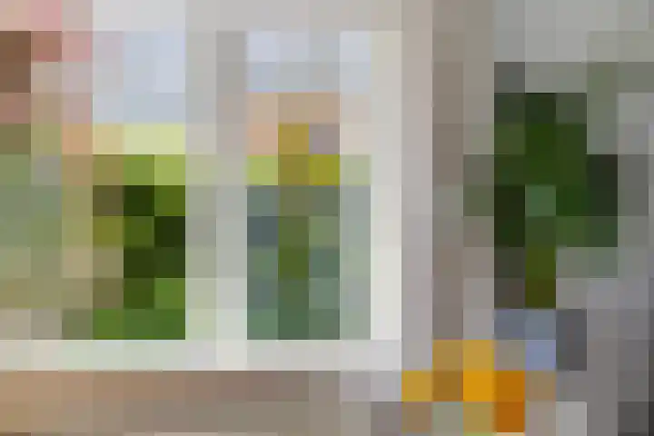 Hoofdweg 207 Schildwolde thumbnail 30