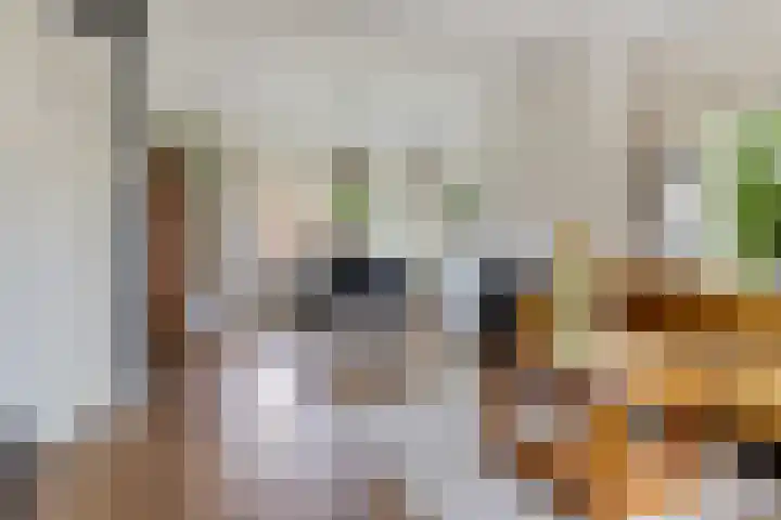 Hoofdweg 207 Schildwolde thumbnail 31