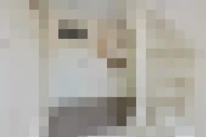 Hoofdweg 207 Schildwolde thumbnail 46