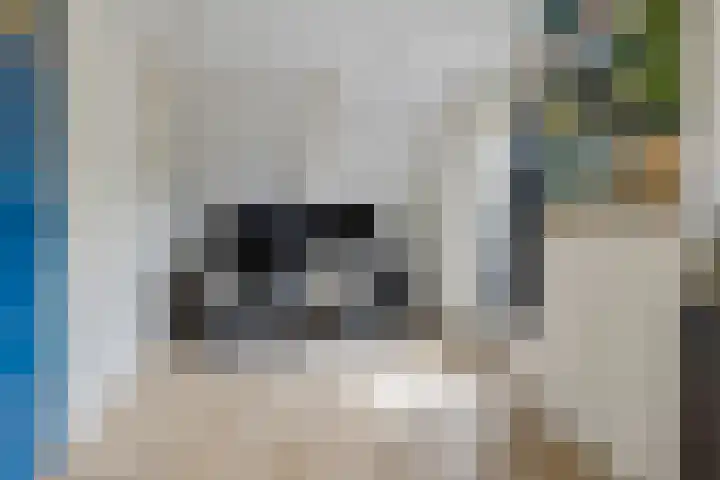 Hoofdweg 207 Schildwolde thumbnail 50