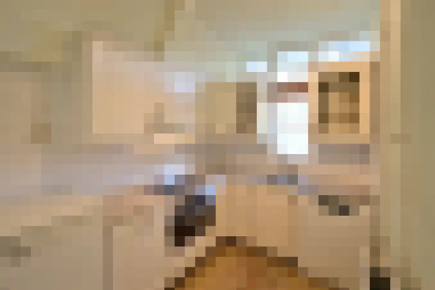 Hoofdweg 21 Blaricum thumbnail 7