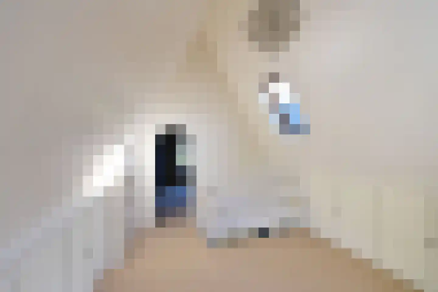 Hoofdweg 21 Blaricum thumbnail 9