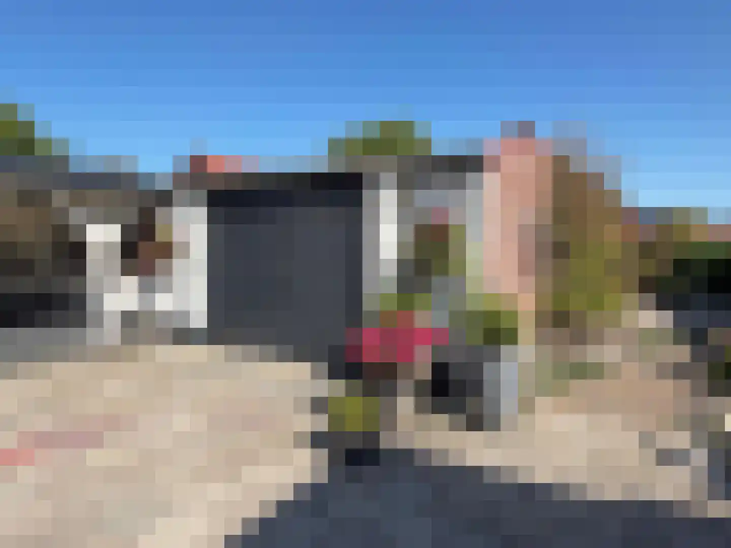 Hoofdweg 21 Coevorden thumbnail 15