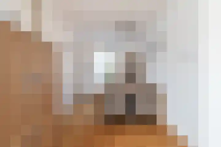 Hoofdweg 210 Westerlee thumbnail 15