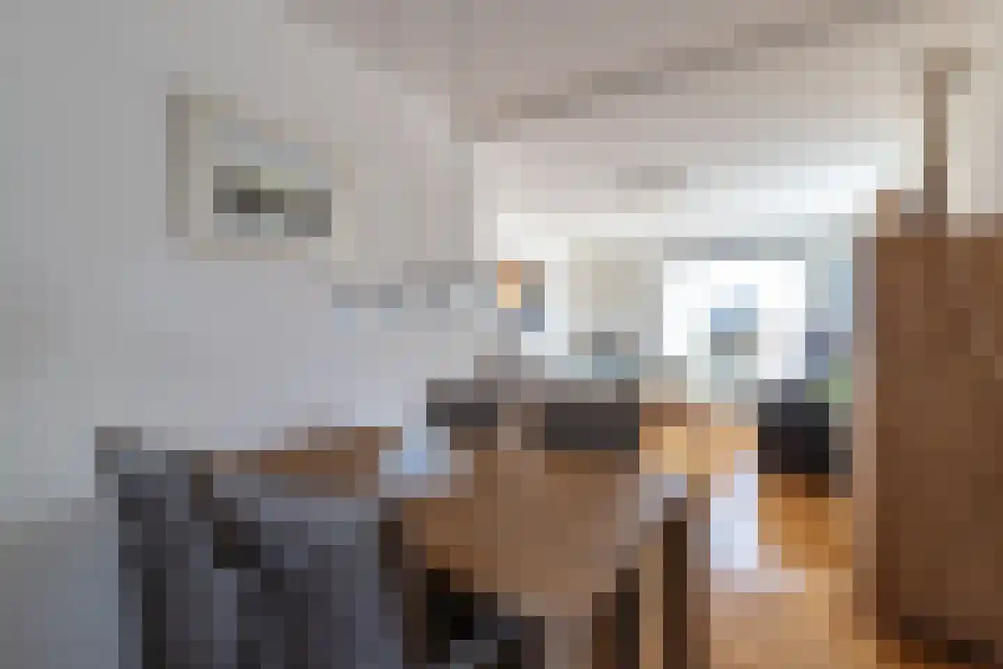 Hoofdweg 210 Westerlee thumbnail 16