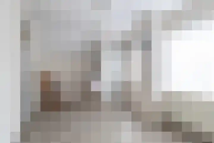 Hoofdweg 210 Westerlee thumbnail 28