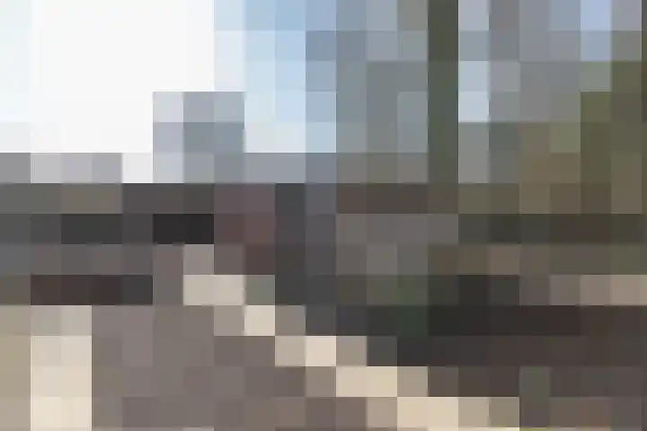 Hoofdweg 210 Westerlee thumbnail 41