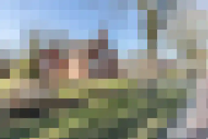 Hoofdweg 210 Westerlee thumbnail 49
