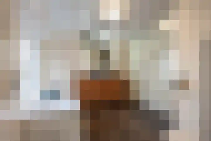 Hoofdweg 211 Siddeburen thumbnail 28