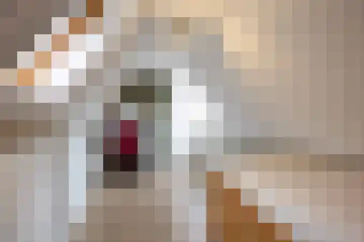 Hoofdweg 211 Siddeburen thumbnail 36