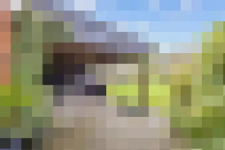 Hoofdweg 211 Siddeburen thumbnail 47