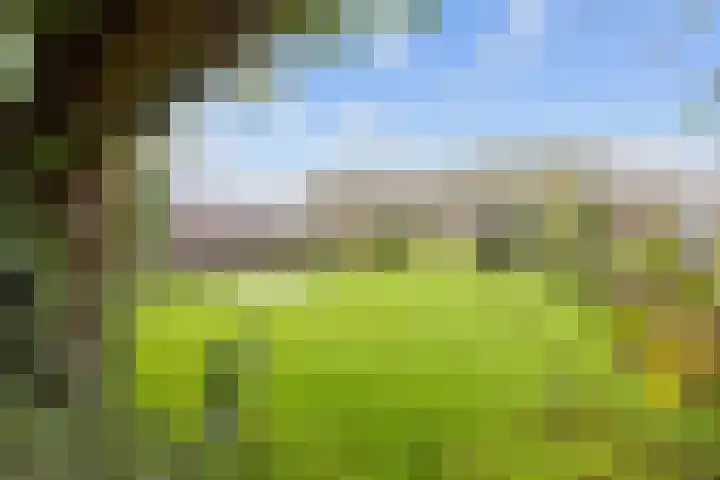 Hoofdweg 211 Siddeburen thumbnail 49