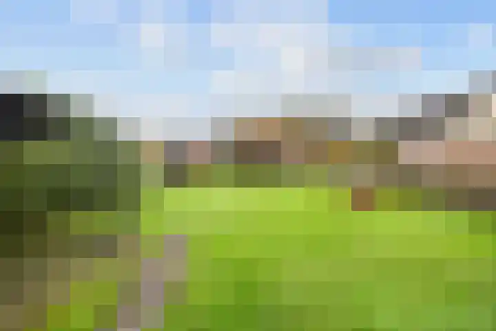 Hoofdweg 211 Siddeburen thumbnail 51