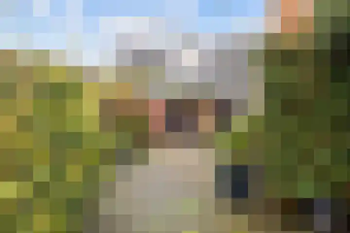 Hoofdweg 211 Siddeburen thumbnail 54