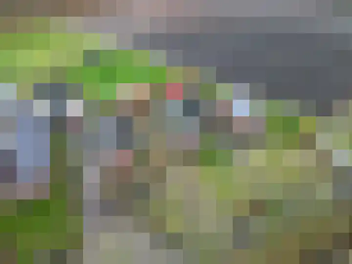Hoofdweg 211 Siddeburen thumbnail 57