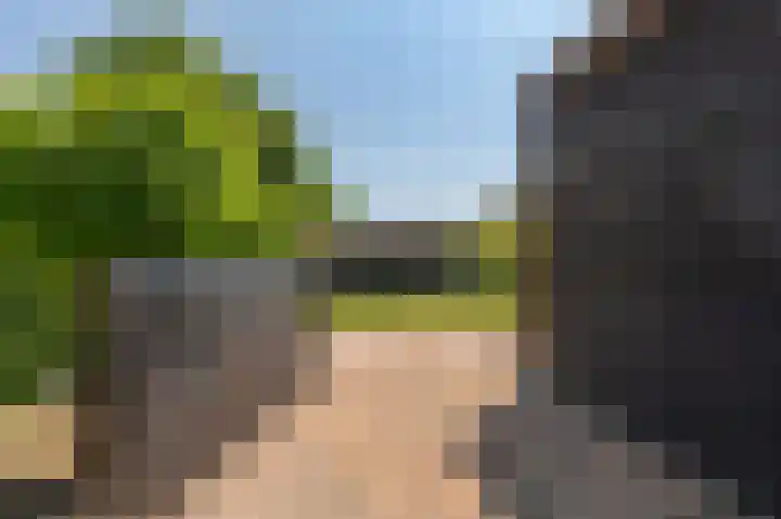 Hoofdweg 214 Bellingwolde thumbnail 10