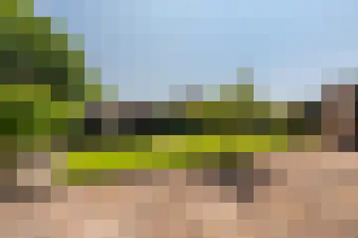 Hoofdweg 214 Bellingwolde thumbnail 11