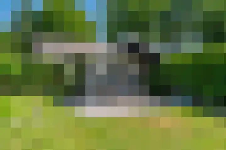 Hoofdweg 214 Bellingwolde thumbnail 12