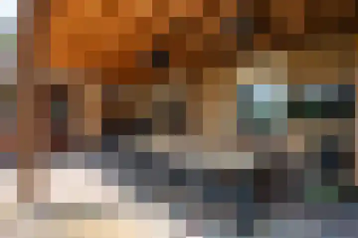 Hoofdweg 214 Bellingwolde thumbnail 16