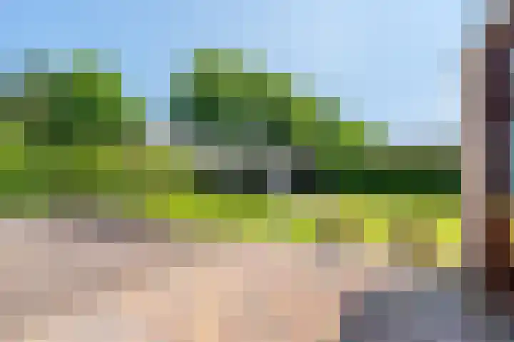 Hoofdweg 214 Bellingwolde thumbnail 18