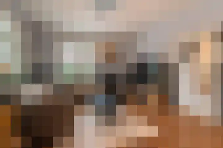Hoofdweg 214 Bellingwolde thumbnail 24
