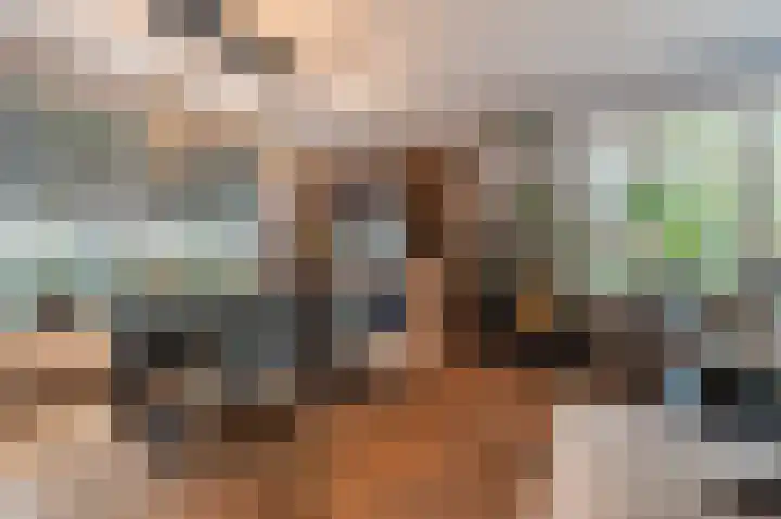 Hoofdweg 214 Bellingwolde thumbnail 28