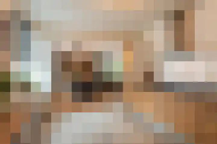 Hoofdweg 214 Bellingwolde thumbnail 34