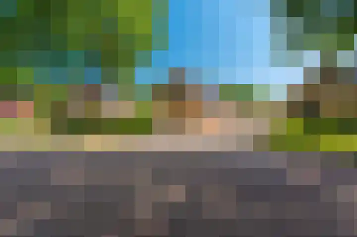 Hoofdweg 214 Bellingwolde thumbnail 4
