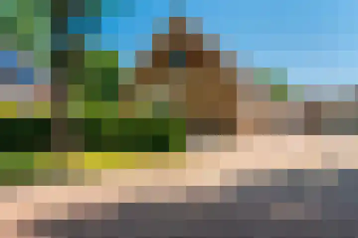 Hoofdweg 214 Bellingwolde thumbnail 6