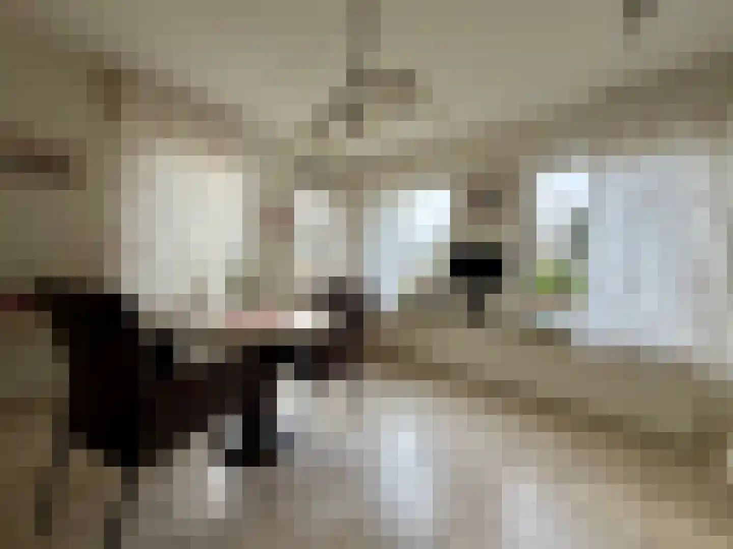 Hoofdweg 217 Blijham thumbnail 10