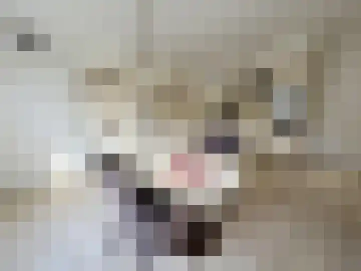 Hoofdweg 217 Blijham thumbnail 10
