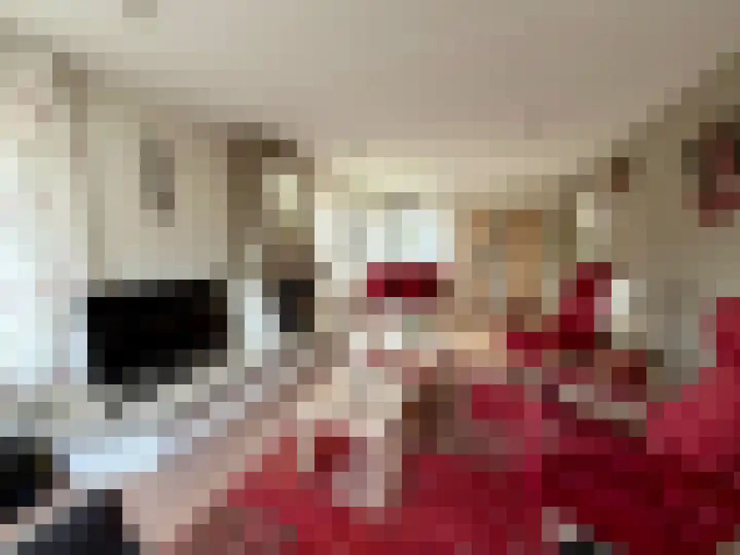 Hoofdweg 217 Blijham thumbnail 16