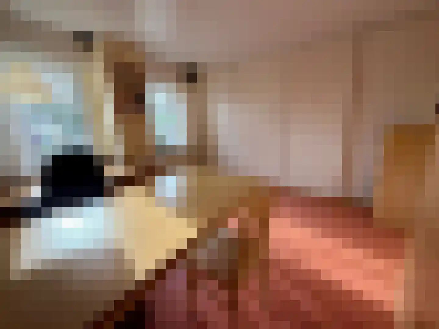 Hoofdweg 217 Blijham thumbnail 29