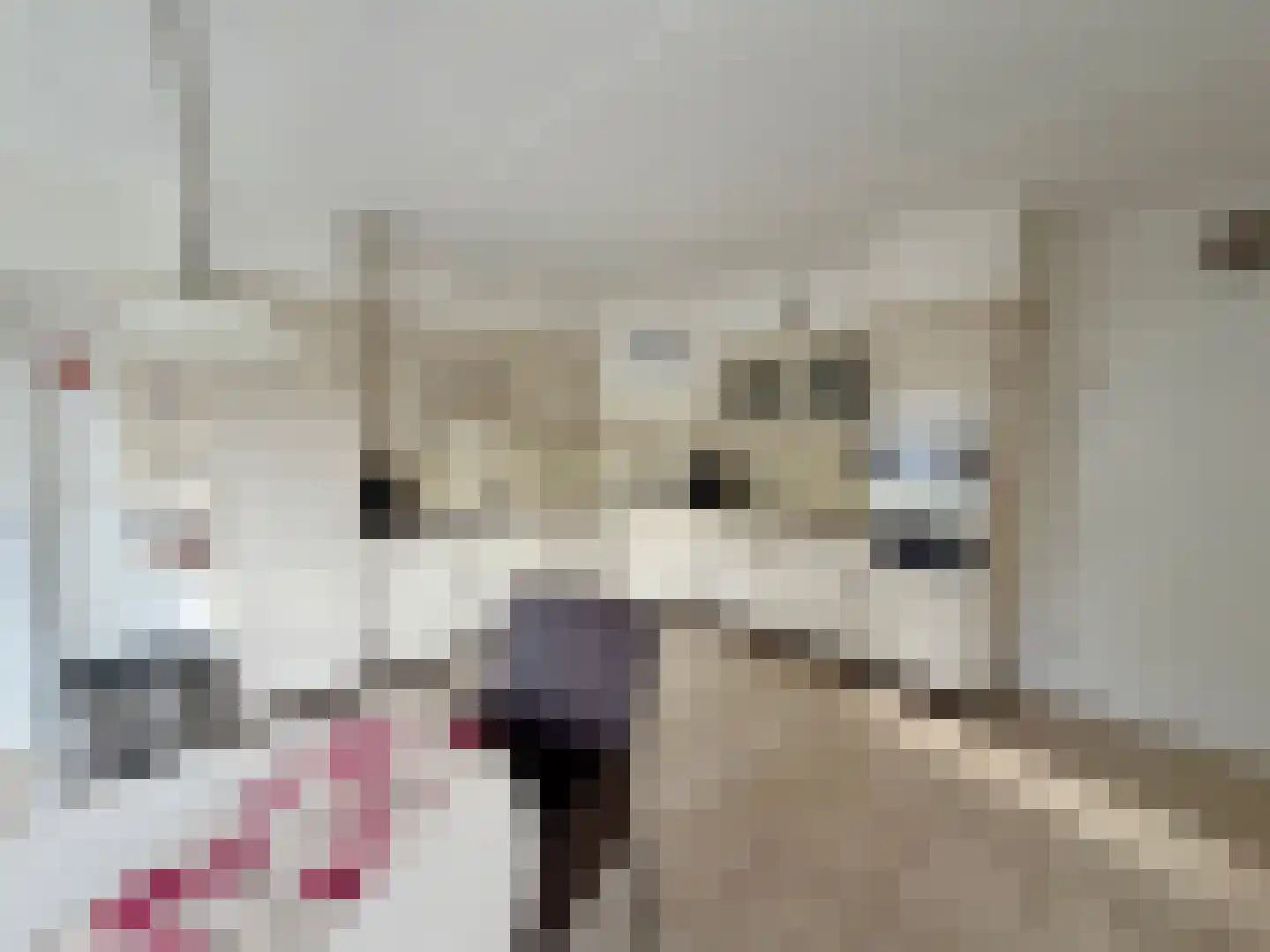 Hoofdweg 217 Blijham thumbnail 8