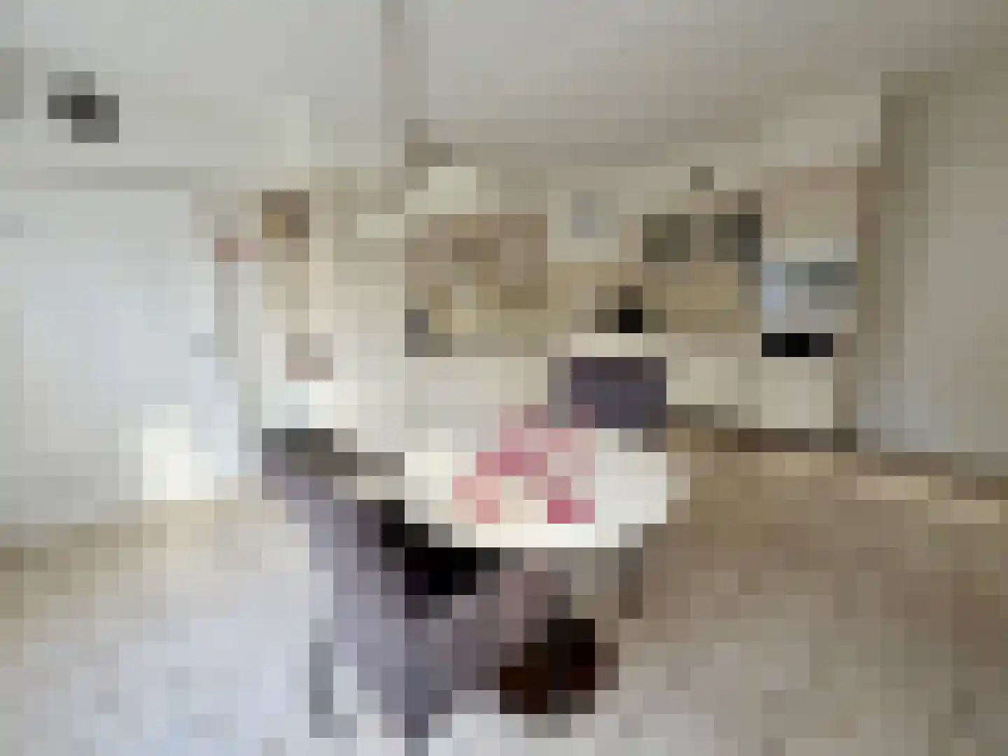 Hoofdweg 217 Blijham thumbnail 9