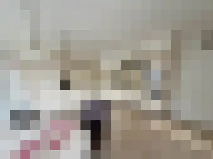 Hoofdweg 217 Blijham thumbnail 9