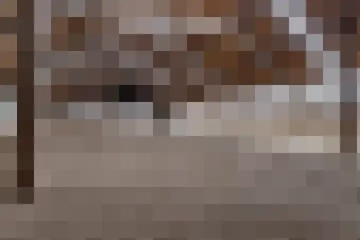 Hoofdweg 217 Schildwolde thumbnail 11