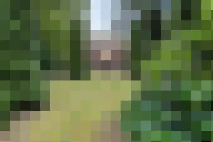 Hoofdweg 217 Schildwolde thumbnail 12