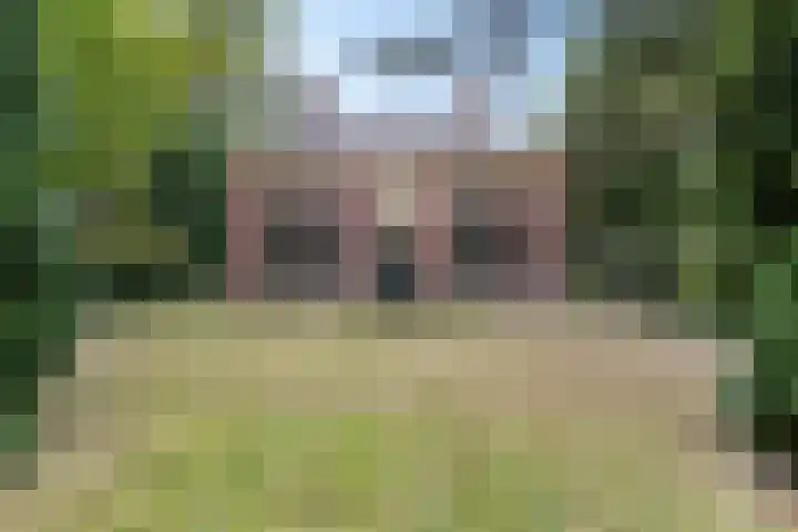 Hoofdweg 217 Schildwolde thumbnail 13