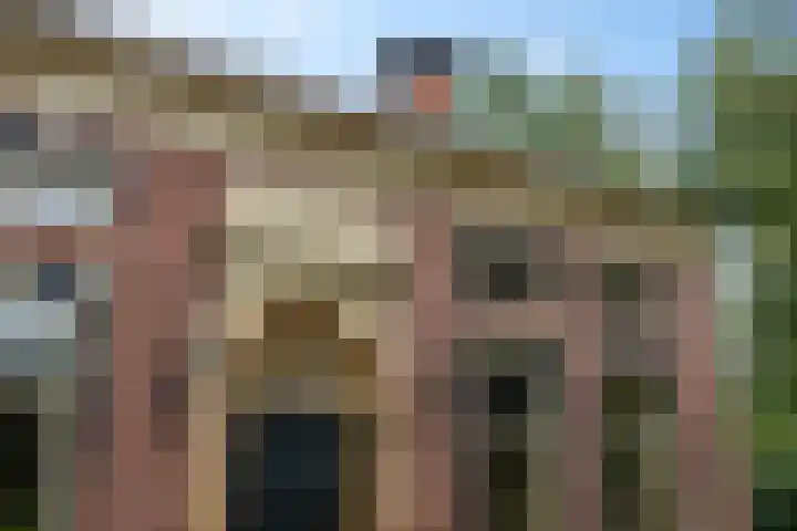 Hoofdweg 217 Schildwolde thumbnail 16