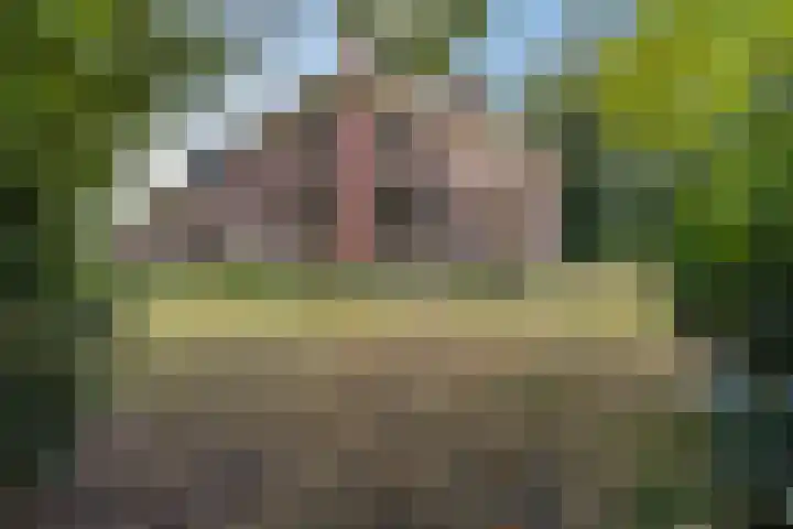 Hoofdweg 217 Schildwolde thumbnail 17