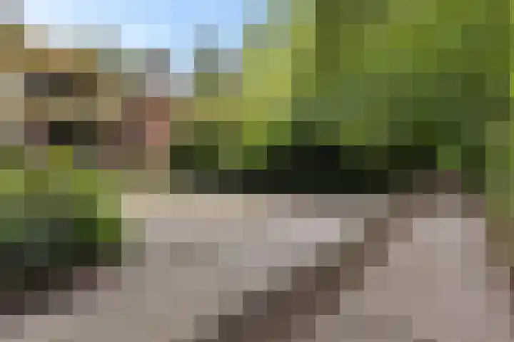 Hoofdweg 217 Schildwolde thumbnail 18
