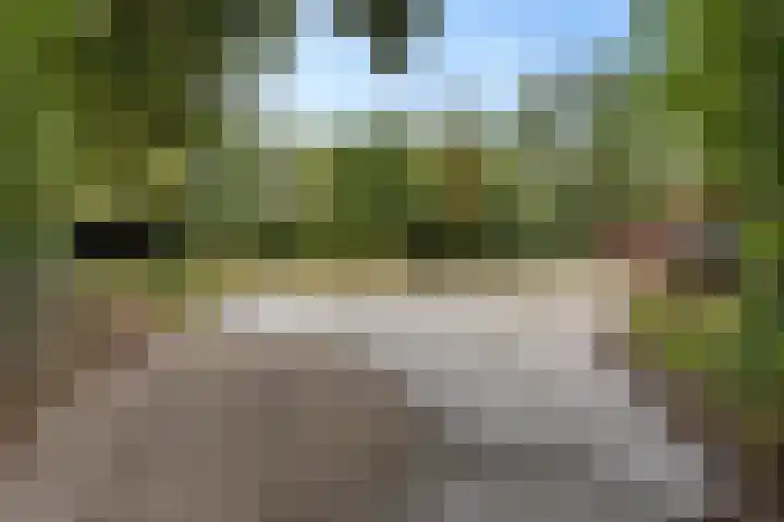 Hoofdweg 217 Schildwolde thumbnail 19