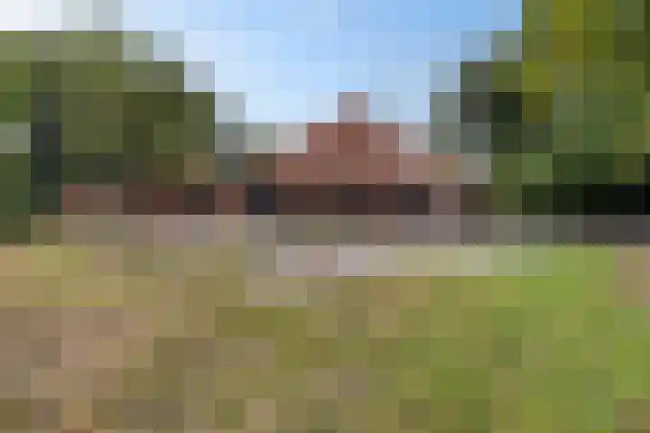 Hoofdweg 217 Schildwolde thumbnail 20