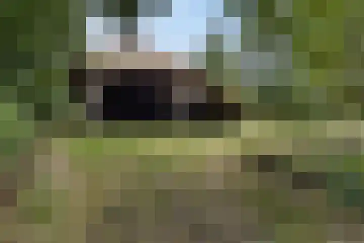 Hoofdweg 217 Schildwolde thumbnail 21