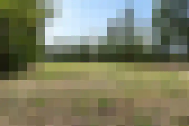 Hoofdweg 217 Schildwolde thumbnail 22