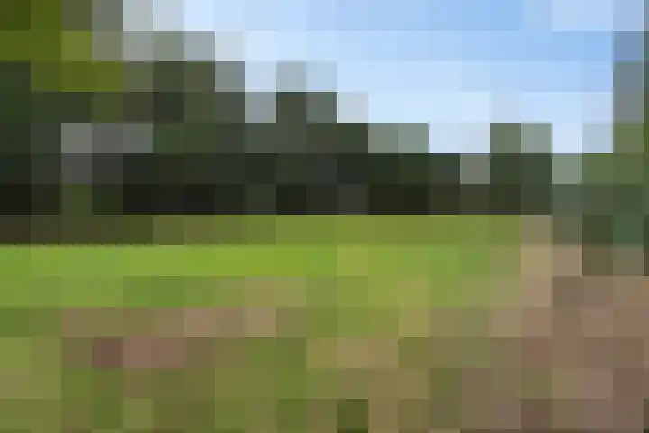 Hoofdweg 217 Schildwolde thumbnail 23