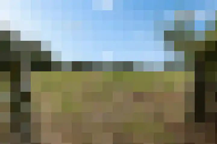 Hoofdweg 217 Schildwolde thumbnail 24