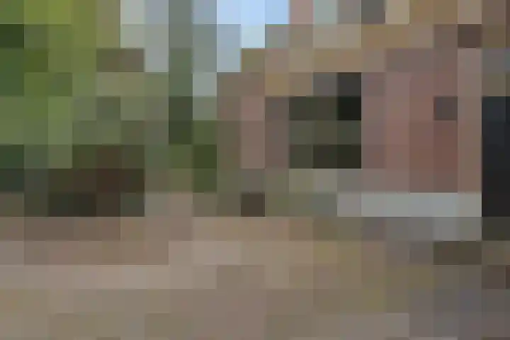Hoofdweg 217 Schildwolde thumbnail 25