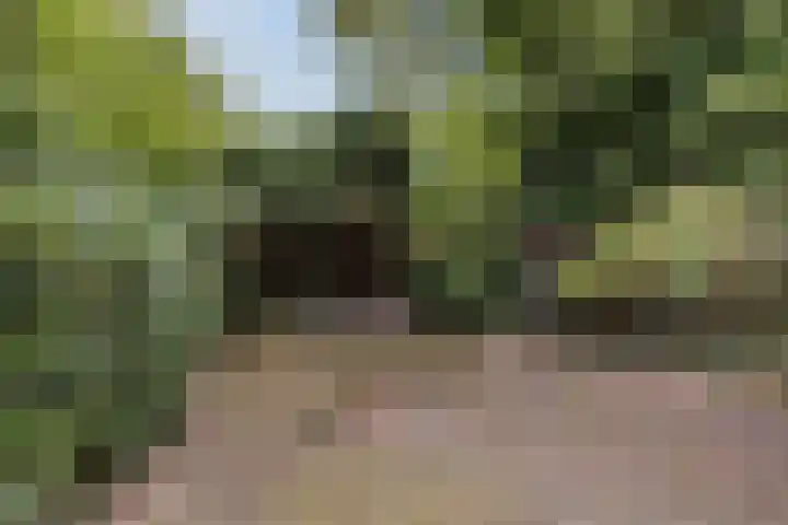 Hoofdweg 217 Schildwolde thumbnail 26